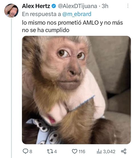 El Plan Angel De Marcelo Ebrard Dej Estos Divertidos Memes Por Lo