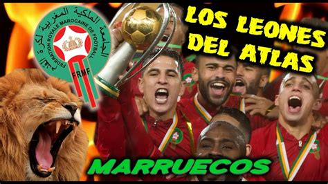 Top 30 Imagen Los Leones Del Atlas Futbol Abzlocal Mx