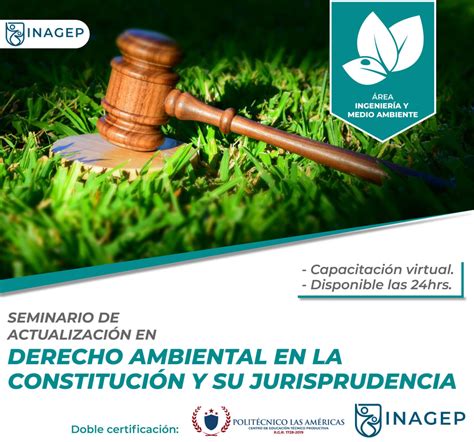 Seminario de actualización en derecho ambiental en la constitución y su