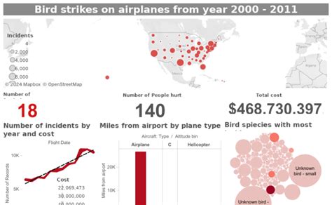 Workbook Bird Strikes On Planes