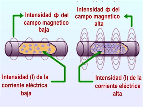 Campos Magn Ticos Para Dummies