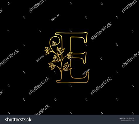 837 Fancy Letter E Stock Illustrations, Images & Vectors | Shutterstock