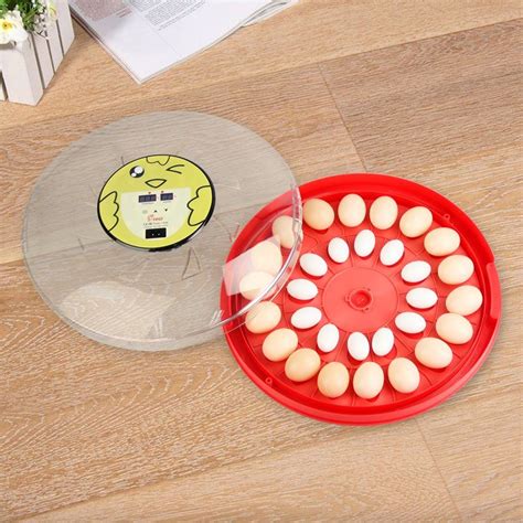 Mini Chicken Egg Incubator For Poultry Equipment Incubators Egg