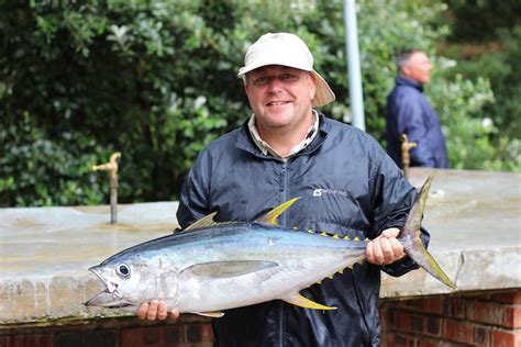 commercial fish  south africa galjoen klipfish kingfish tuna