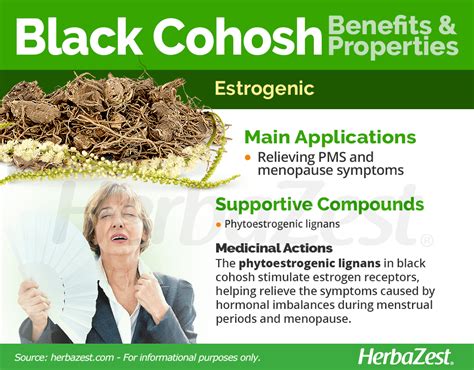 Black Cohosh | HerbaZest