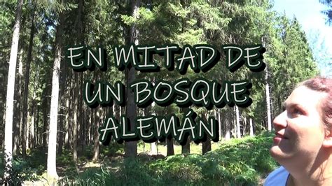 Vlog 6 Nos Perdemos Por Un Bosque En Alemania Vamos A HOLANDA Mi