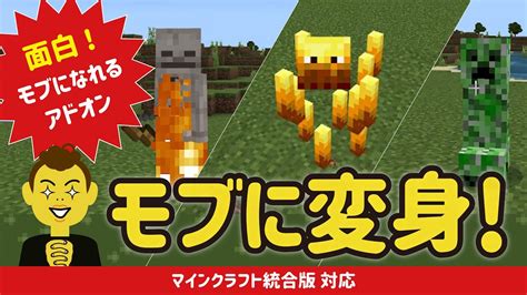 【マイクラ】統合版対応！morph Plus Add On（mob追変身アドオン）紹介 マインクラフト Minecraft Add On