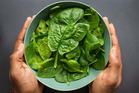 How to Grow Spinach in Pots: A Step-by-Step Guide