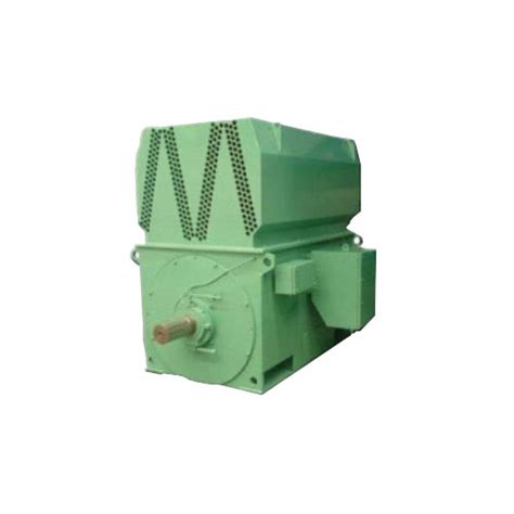 Medium Voltage Motors Wem Electric Motors Drives