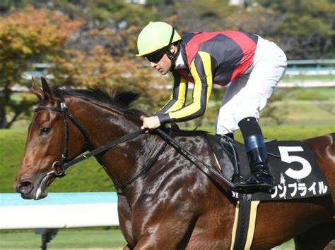 【阪神jf】登録馬 ウンブライル、リバティアイランドなど29頭 競馬ニュース Netkeiba