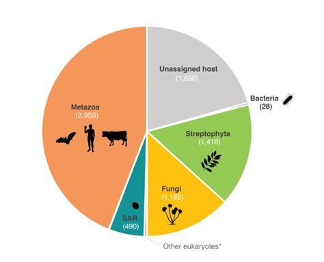 Host assignment of RdRp corresponding viruses. Host information was ...