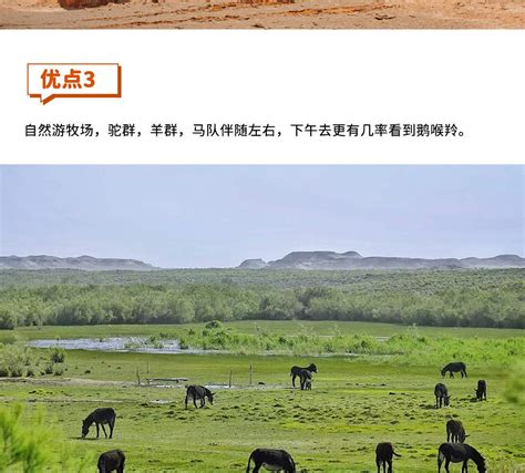One Day Tour In Dunhuang Gansu Hardcore Off Road Exploration Of The