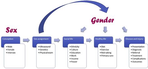 Sex And Gender Inclusion Analysis And Reporting In Anaesthesia Research British Journal Of