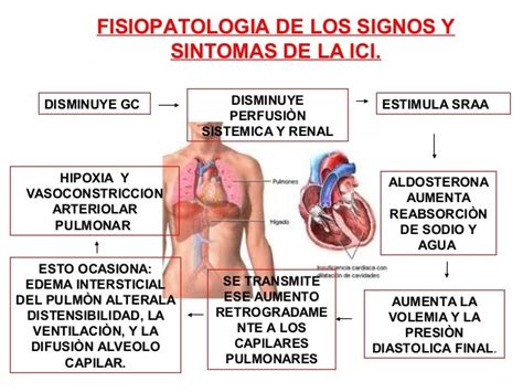 Fisioterapia Cardiovascular INSUFICIENCIA CARDIACA