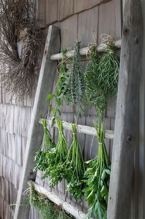 Verde Y Gris Herb Garden Design Herb Drying Racks Harvesting Herbs