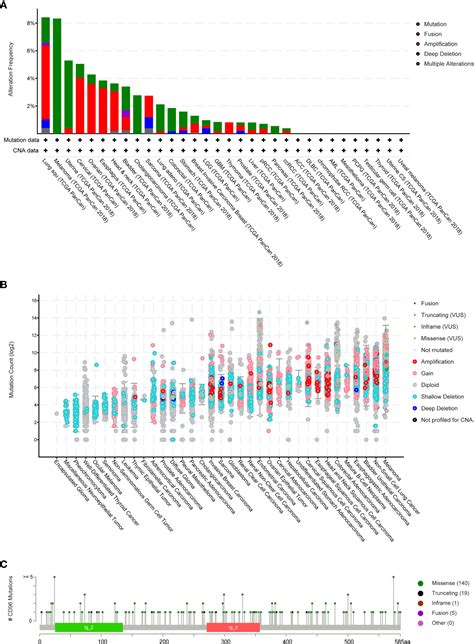 Frontiers CD96 Correlates With Immune Infiltration And Impacts