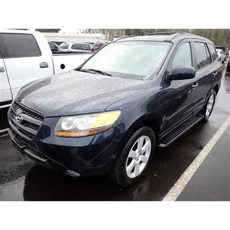 2007 Hyundai Santa Fe Speeds Auto Auctions