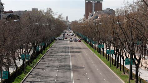 Details Rboles De Madrid Por Calles Abzlocal Mx