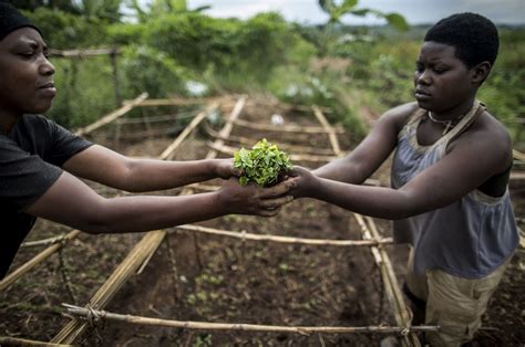 Climate Smart Agriculture Sourcebook Food And Agriculture