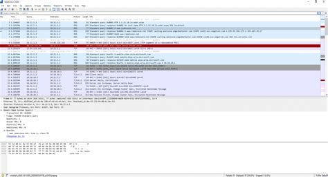 Guía paso a paso para configurar DNS en un router Cisco descubre cómo