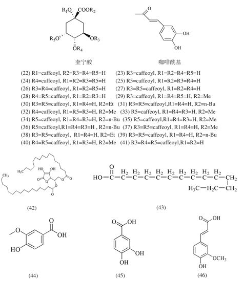 金银花的功能性成分及其生物活性研究进展参考网