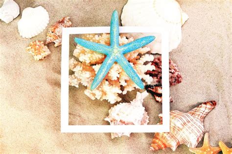 Starfish On The Summer Beach In Sea Water Summer Background Stock