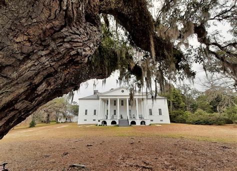 11 Inspiring Reasons to Visit Hampton Plantation SC in 2024