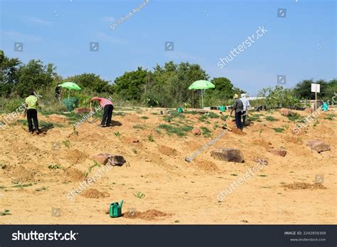 Tree Plantation Drive India Images Stock Photos Vectors