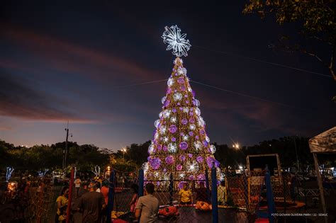 Rvores De Natal Acendimento Dos Maiores S Mbolos Natalinos De Boa