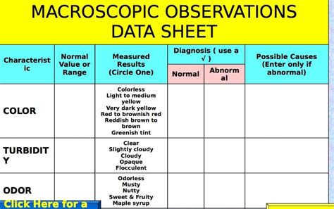 Solved MACROSCOPIC OBSERVATIONS DATA SHEET Diagnosis I Use A Normal