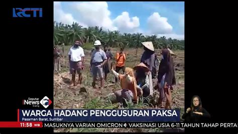 Konflik Perusahaan Sawit Vs Warga Di Pasaman Barat Sumbar Kembali