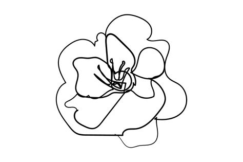 Flower One Line Drawing Minimalism Art Graphic By Splash Art