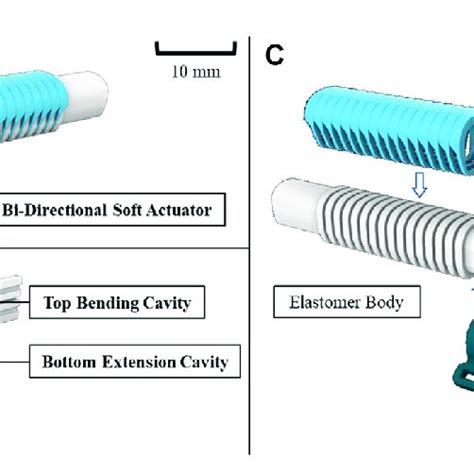 A General Design Of The Bi Directional Soft Actuator B