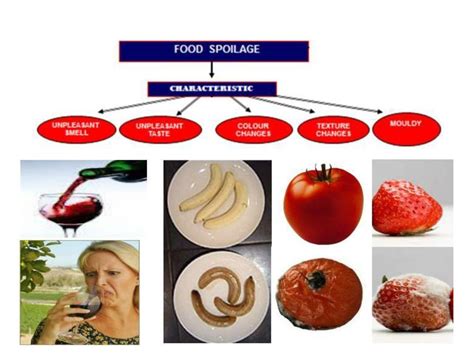 Lecture Principles Of Food Spoİlage Ppt Download