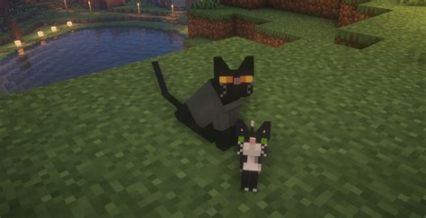 Cuter Cats Minecraft Texture Pack