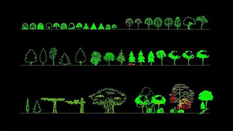 Various Types Of Trees Plants Front View Elevation D Dwg Block For