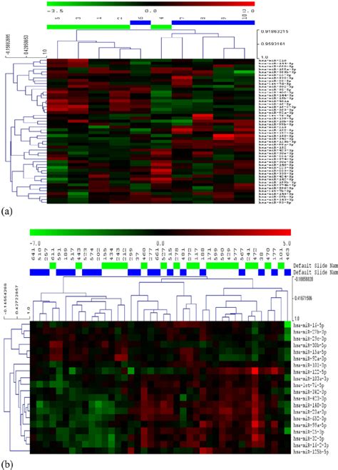 Heat Map And Unsupervised Hierarchical Clustering Of The A Pilot