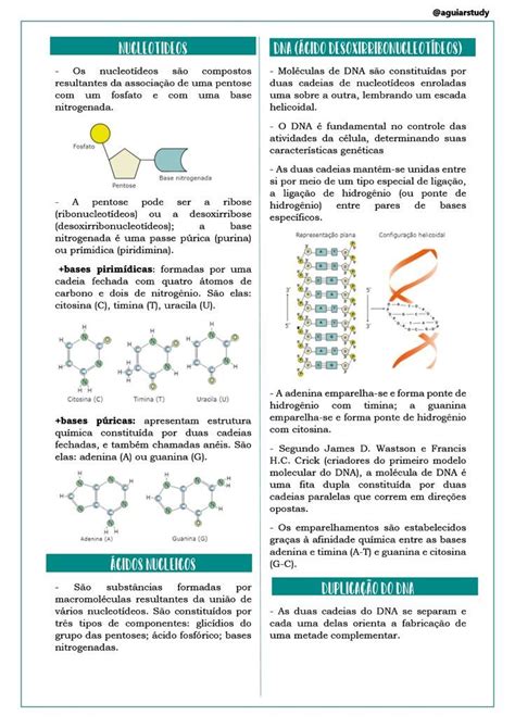 Cidos Nucleicos Liga O De Hidrog Nio Planos De Estudo Enem