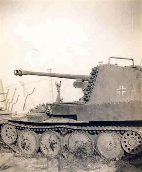 Marder Iii Ausf M World War Photos