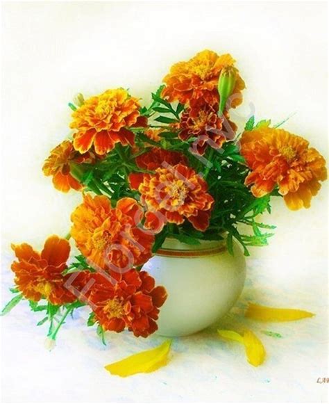 Marigold arrangement