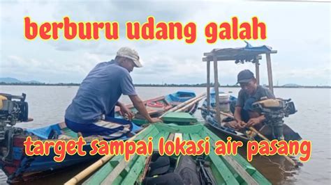 Mancing Udang Galah Saat Air Pasang Sangat Berbahaya Youtube