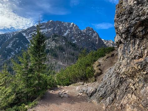 Odkrywanie Dzikich TatrDzikie Tatry Odkryj Prawdziwe Oblicze Przyrody