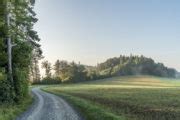 Albisgrat Höhenweg schöne Wanderung vom Uetliberg zum Albispass