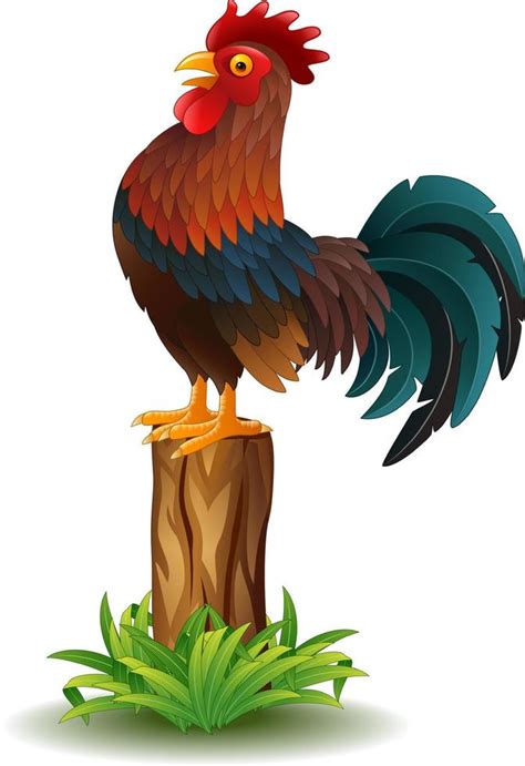 Cartoon Rooster Crowing 9693662 Vector Art At Vecteezy