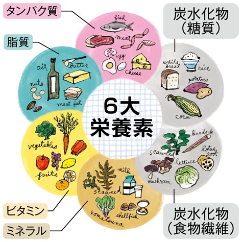 40代以降のダイエットは食物繊維を加えた6大栄養素で考える／内臓脂肪を落とすルール＜7＞