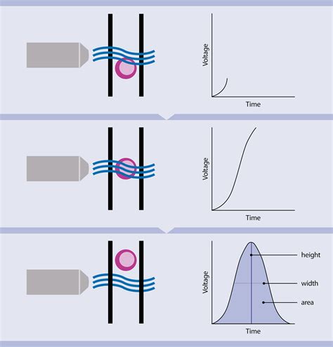 Flow Cytometry Schematic Diagram Flow Cytometry Diagram