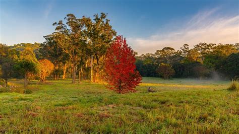 Erina Hot Water Installation And System Servicing