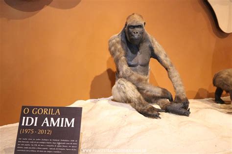 Museu de Ciências Naturais da PUC Minas em Belo Horizonte Pelos