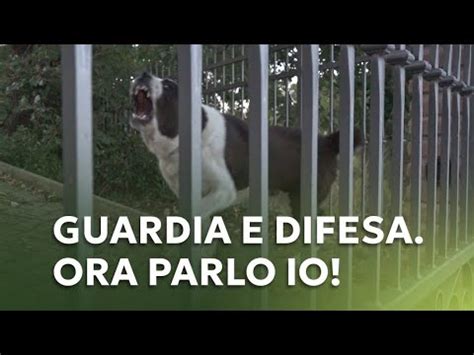 Guardia E Difesa Ora Parlo Io Youtube