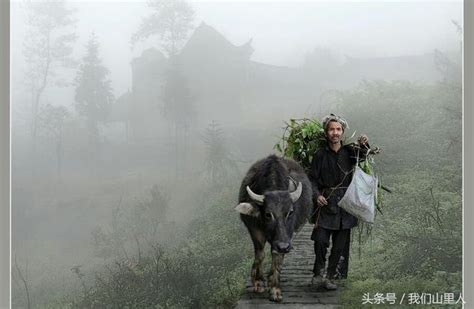 平凡的農村人，但農村人點綴的同樣是繽紛的世界。 每日頭條